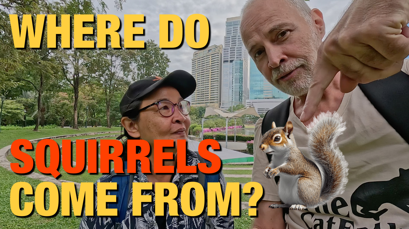 Where do squirrels come from? Video Thumbnail